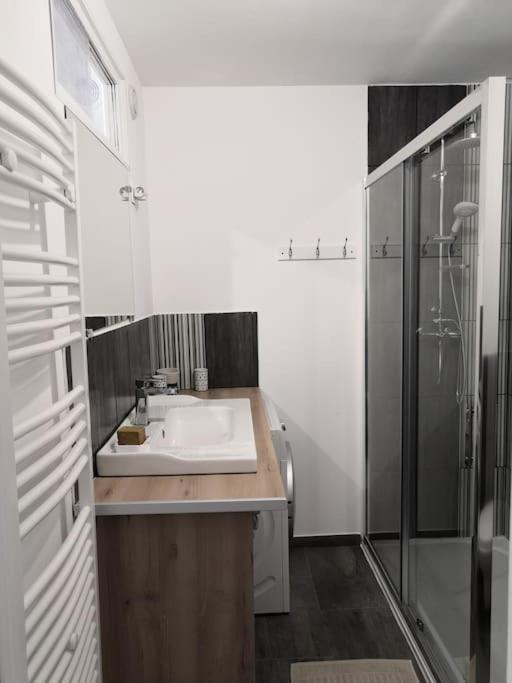 Les Arcades, T2 En Hypercentre Apartment La Rochelle  Ngoại thất bức ảnh